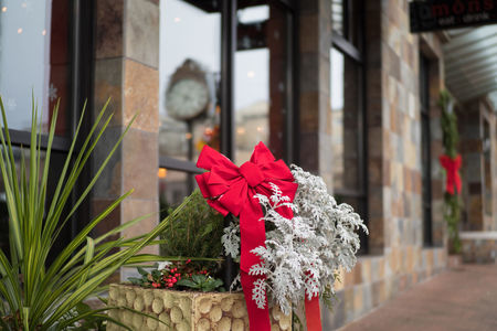 Bow at a store on Main Street