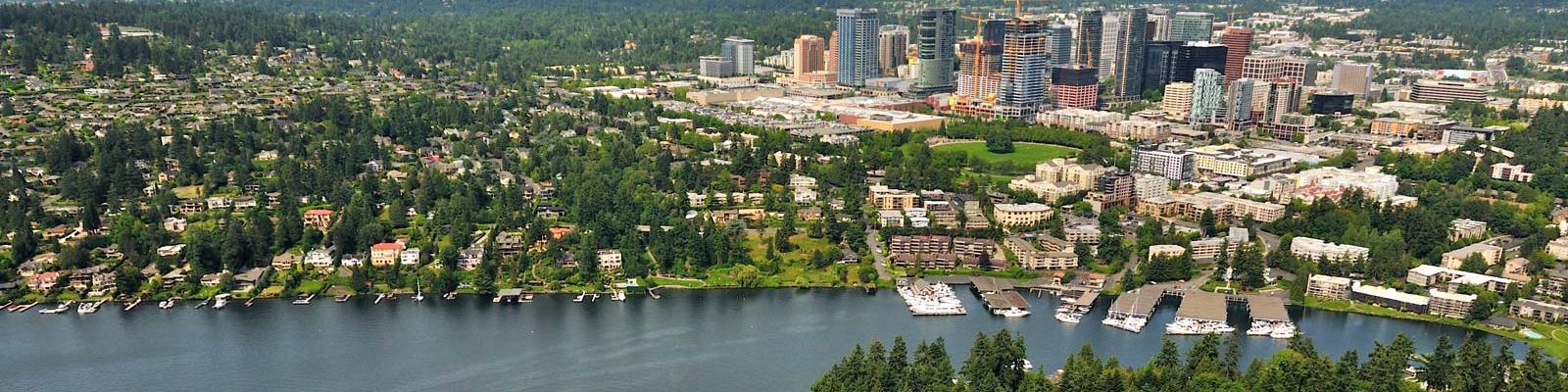 bellevue header