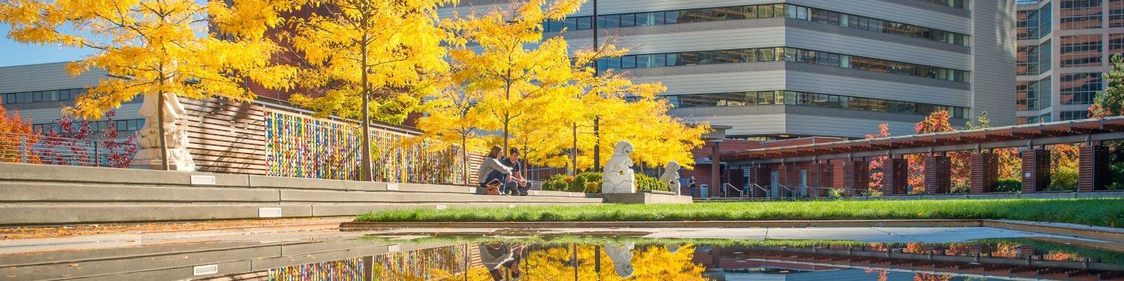 City Hall Plaza Yellow Leaves Banner.jpg City Hall Plaza Yellow Leaves Banner.jpg