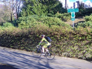 image of bicyclist riding past wayfinding sign