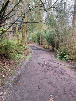 Photo of trail