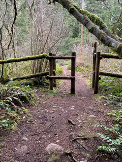 Photo of trail and fence