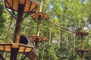 Photograph of outdoor zipline course at South Bellevue Community Center